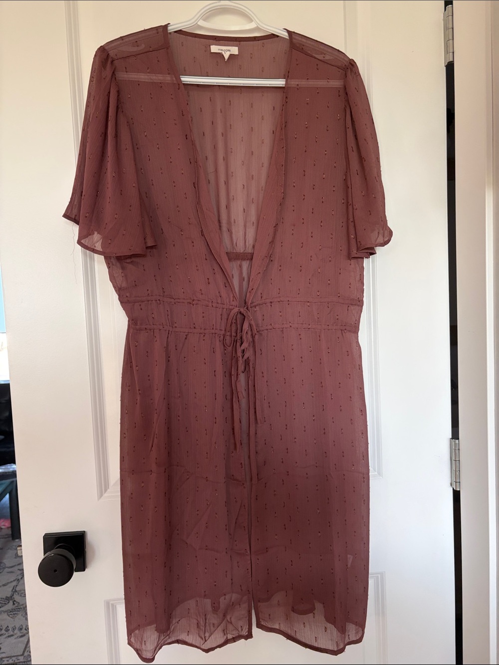Sheer Light Brown Tie-Front Coverup.